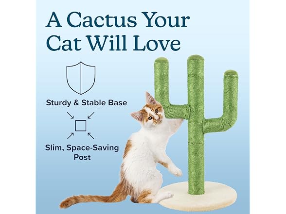 24” Tall Cat Scratching Post - Vertical Cactus