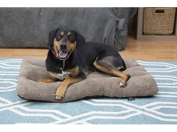 SportPet Waterproof Pet Bed, 33"