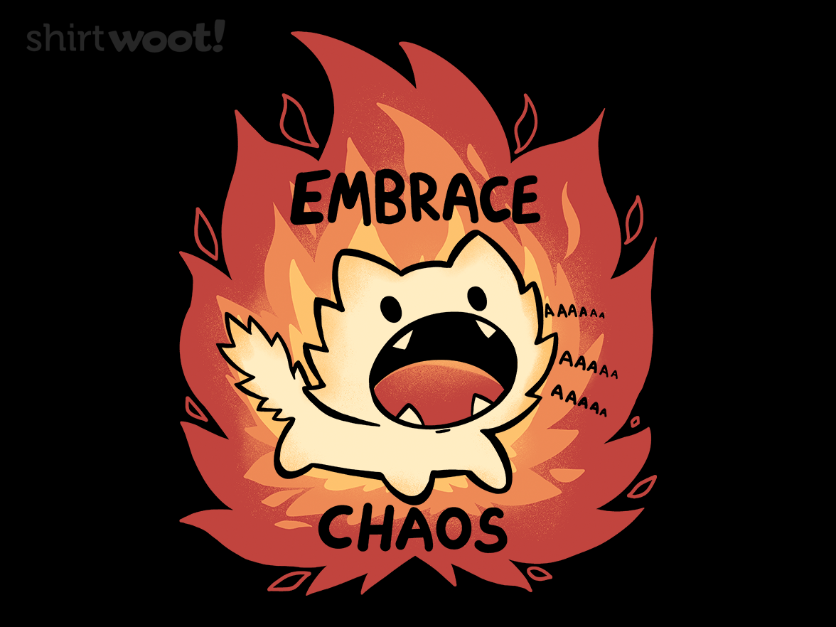 Embrace Chaos - Gallery 4