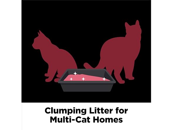 ARM & Hammer Clump & Seal Platinum Cat Litter