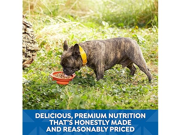 Nature's Recipe Wet Dog Food Variety Pack, 24 Ct
