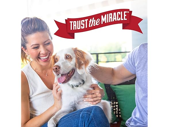 Nature’s Miracle Set-In Stain Destroyer For Dog Messes