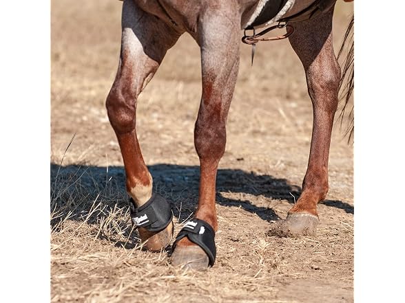 Cashel No Turn Bell Boots for Horses, Equine Black