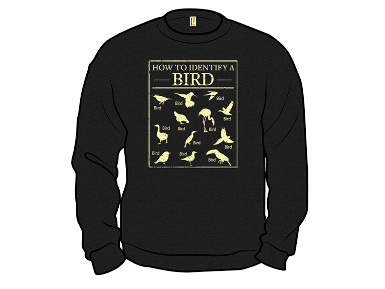 How To Identify A Bird