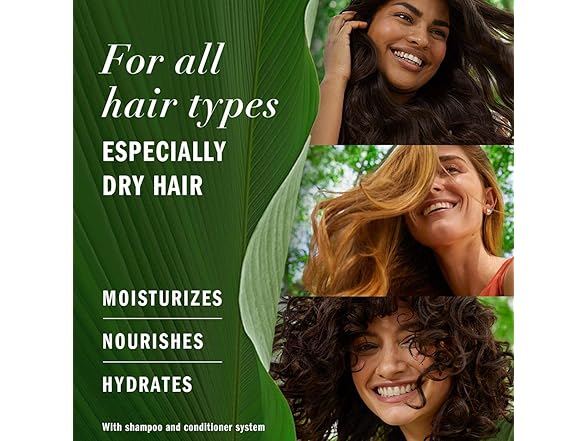 Dr. Healdy BC075725090004 Batana Oil Paste