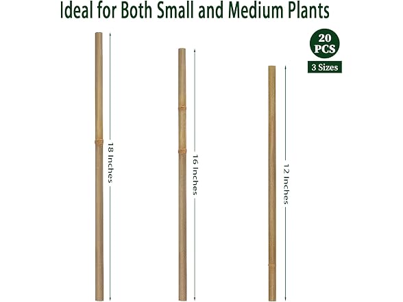 BOVITRO GAR-09 (2 Pack) 18IN Plant Stakes