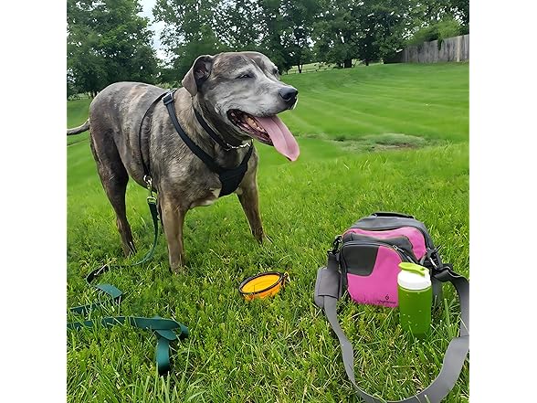 IDEALGROVE Large Dog Treat Pouch