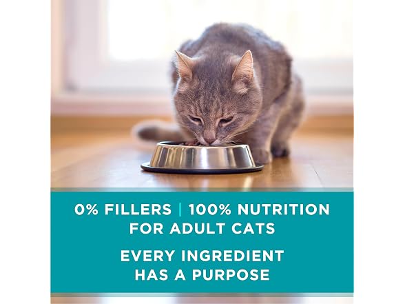24PK Purina ONE Natural Weight Control Wet Cat Food