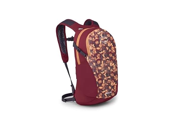 Osprey Daylite Commuter Backpack