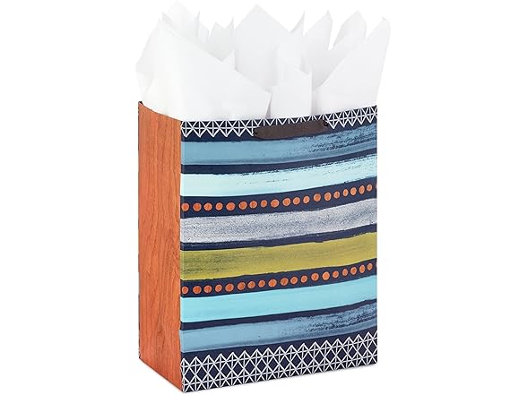 Hallmark 13" Gift Bag w/Card for Dad