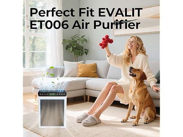 EVALIT ET066 Air Purifier Replacement Filter