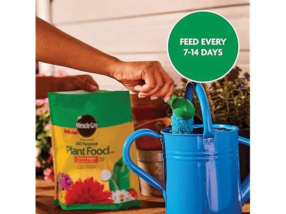 Miracle-Gro Water Soluble All Purpose Plant Food