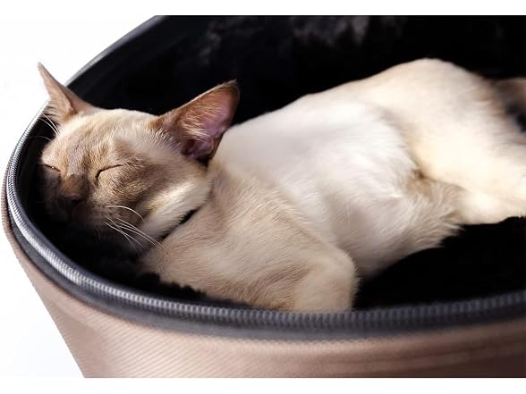 Sleepypod Mobile Pet Bed