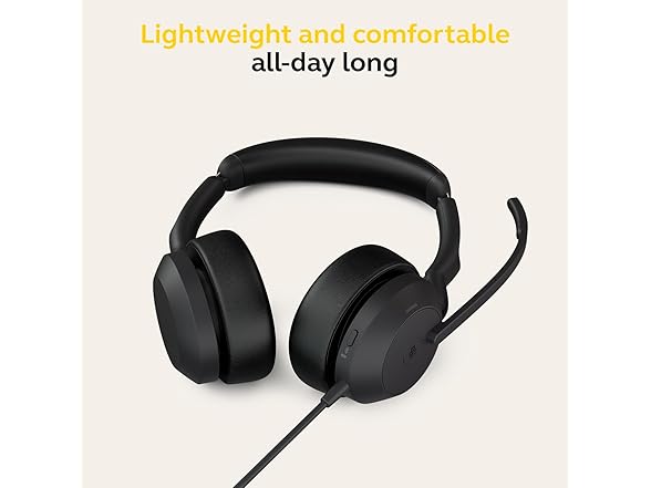 Jabra Evolve2 50 - USB-C Ms Stereo