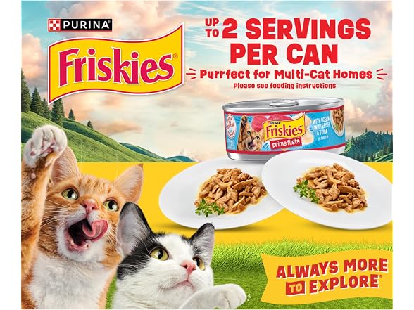 Purina Friskies Wet Cat Food Variety Pack, Tasty Treasures