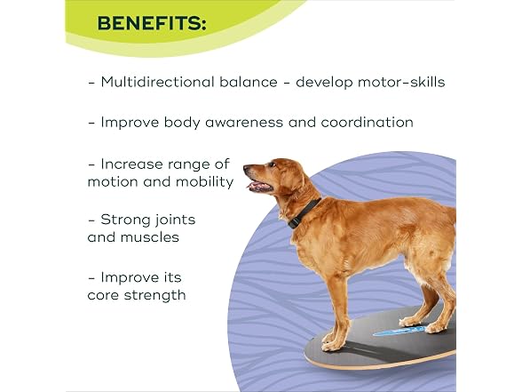 FitPAWS Wobble Board - Dog Balance Training E