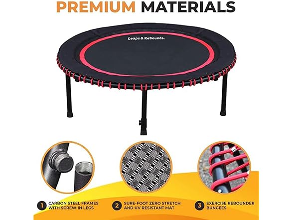 Leaps & Rebounds Bungee Rebounder V2