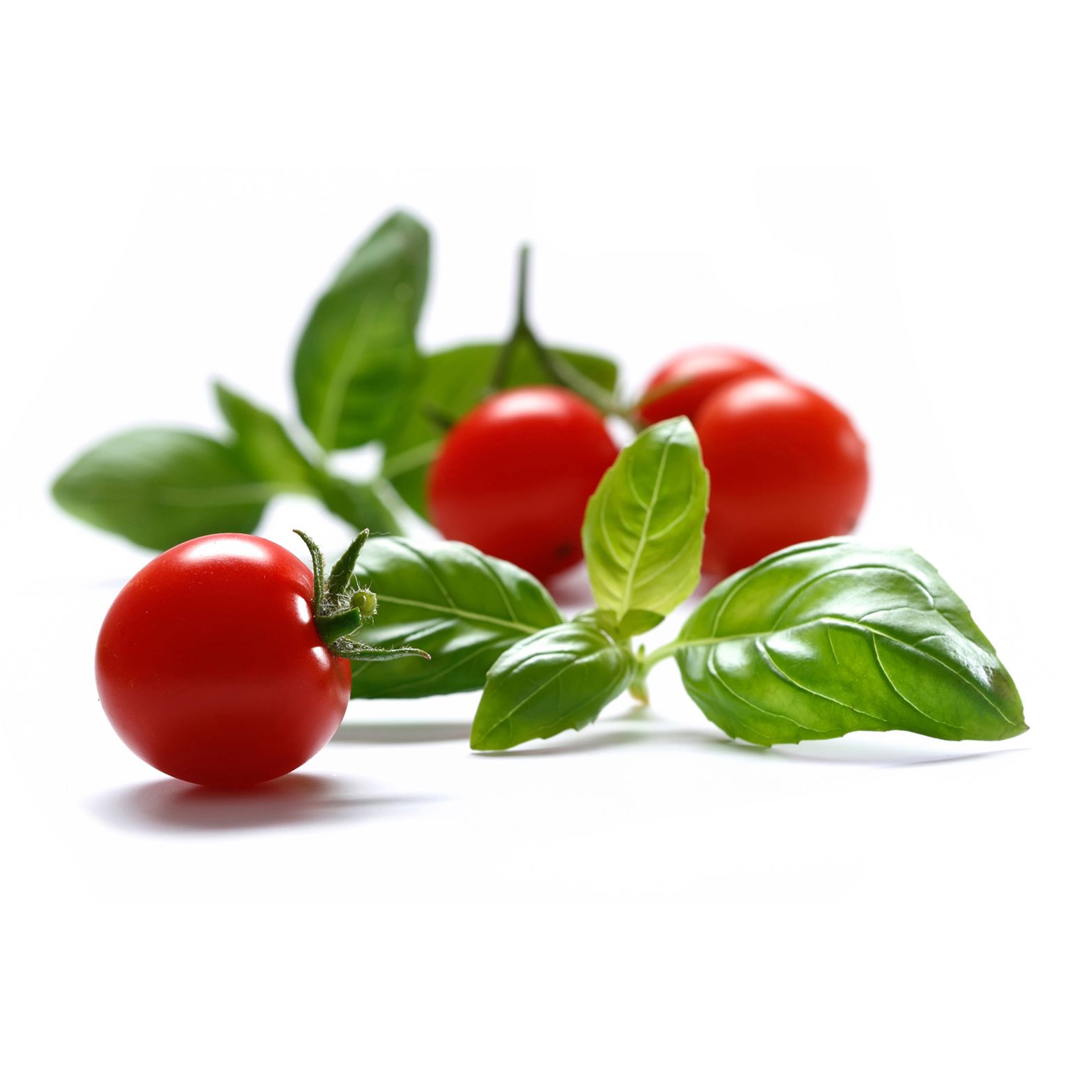 Organic Hanging Planter Bag Kit - Gallery 14