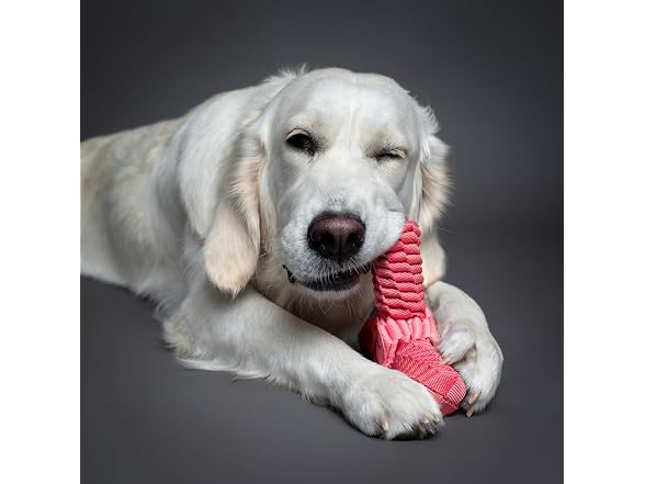 NOAH & PAW Luxury Dog Toy, Dog Rope Toy- Y Flyer, Pink