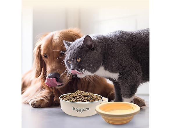 HANARA 2-in-1 Insulated Dog Bowl