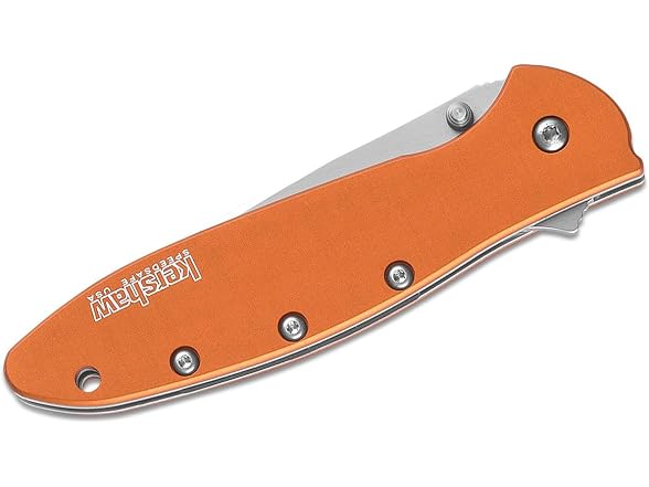 Kershaw Leek, BlackWash Pocket Knife