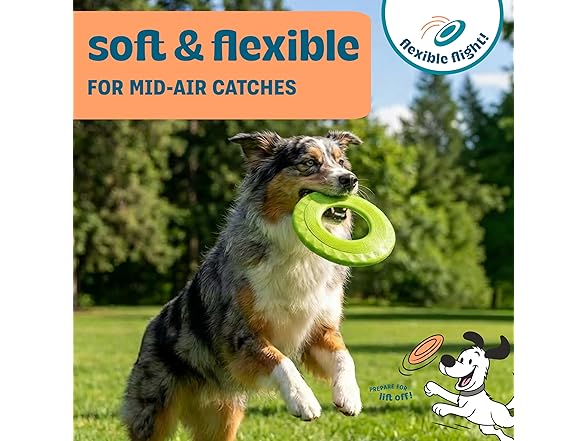 Pupstages Flex-Force Disc Dog Toy