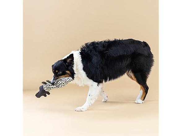 Fringe Studio "Croc My World Canvas Dog Toy