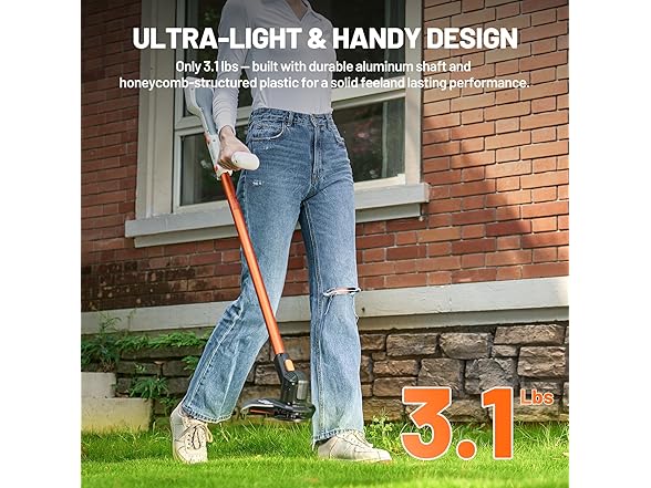 Litheli Cordless Weed Wacker 10 Inch