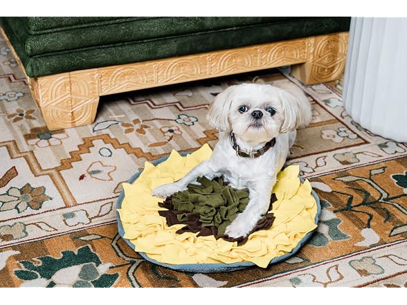 Injoya Sunflower Snuffle Mat for Dogs - 19" x