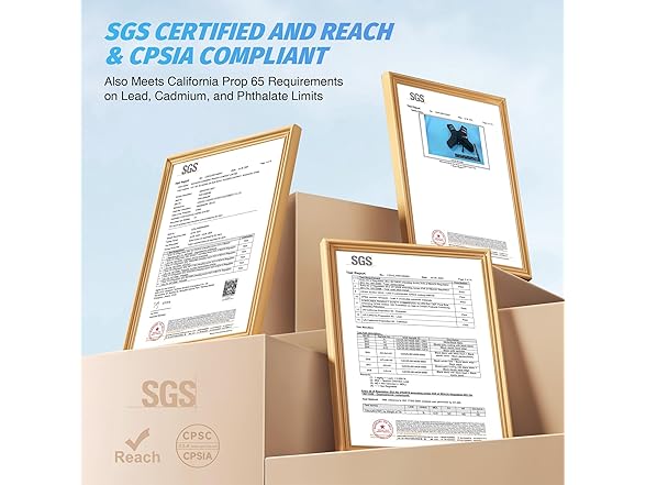 11-20lbs Weighted Vest