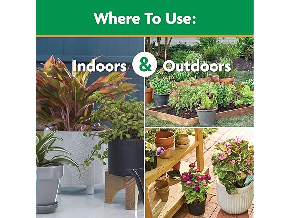 Miracle-Gro Water Soluble All Purpose Plant Food