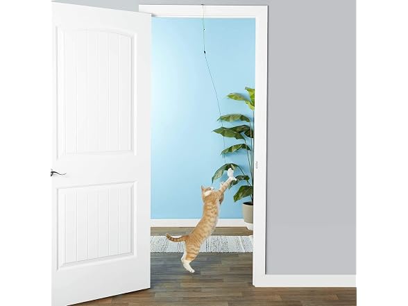 SPOT A-Door-Able Bouncing Mouse Rattle Toy