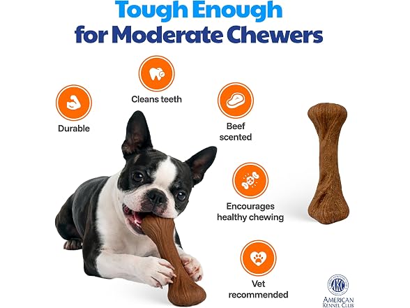 AKC Training Dog Chew Toy, Large Bone Beef Scented