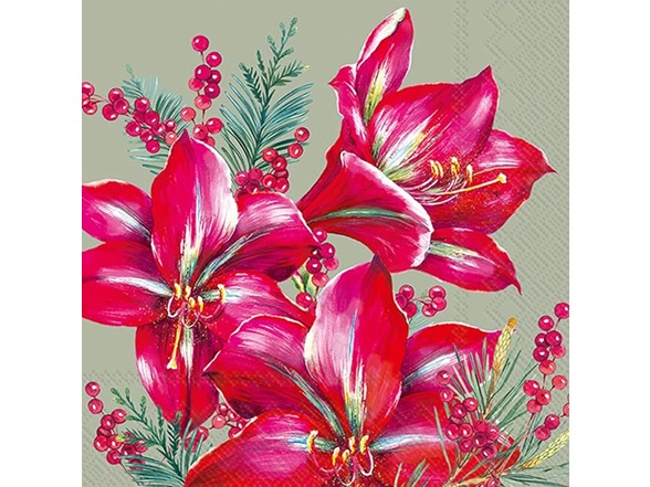 Classic Amaryllis (Sage)