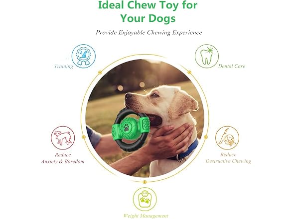 CSDKFCG Squeaky Dog Toys,Steering Wheel Shape