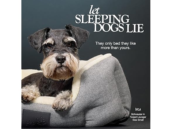 Pet Passion Mello- The Ultra Luxe Bolster Dog