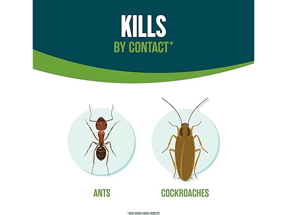 Ecologic Home Insect Control, Indoor & Outdoor Use