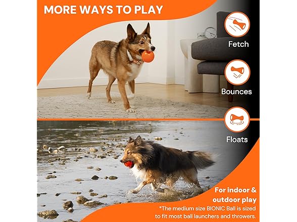 BIONIC Large Dog Chew Ball