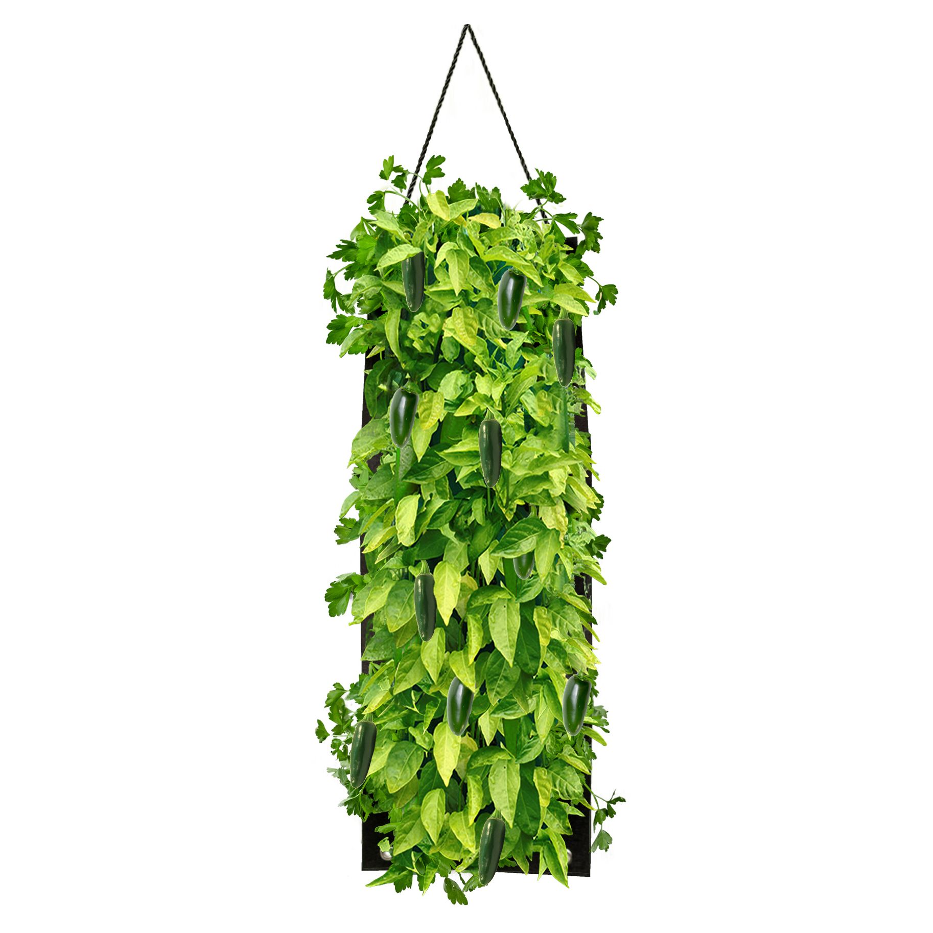 Organic Hanging Planter Bag Kit - Gallery 24