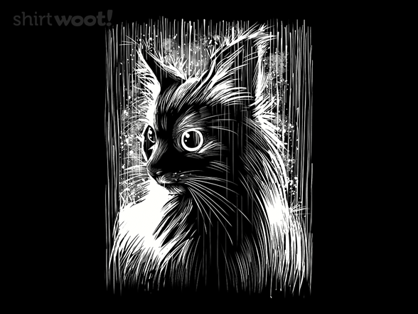 Cat Under the Rain