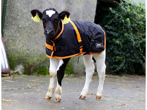 AniMac Super Calf Jacket for Calves, Sheep,