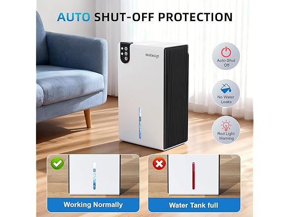 WoEleLigt Dehumidifier for Home