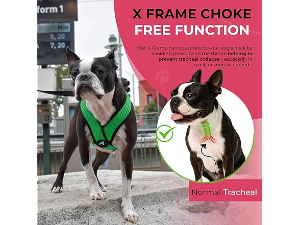 Gooby Comfort X Head in Harness - Small