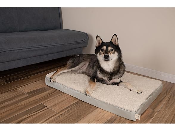 Best Pet Supplies Cute Dog Bed Mat