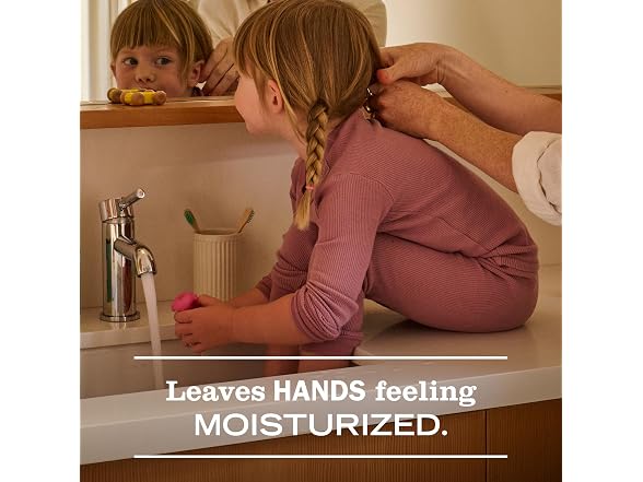 MRS MEYERS CLEAN DAY Hand Soap Geranium 12.5oz
