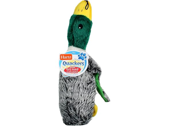 Hartz 05445 At Play Quackers Dog Toy Assorted
