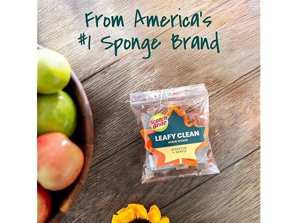 Scotch Brite Harvest 8 Piece Sponge Set