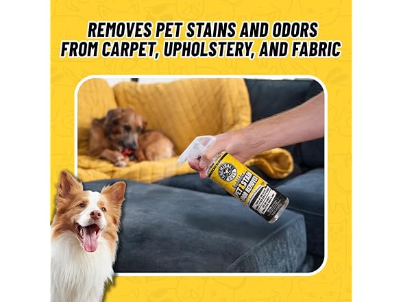 Chemical Guys Pet Mess Cleaning Kit