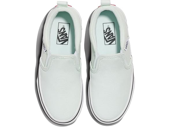 Vans Asher Slip-On Shoe