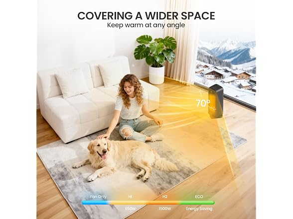 FLANUR Ceramic Indoor Heater Black